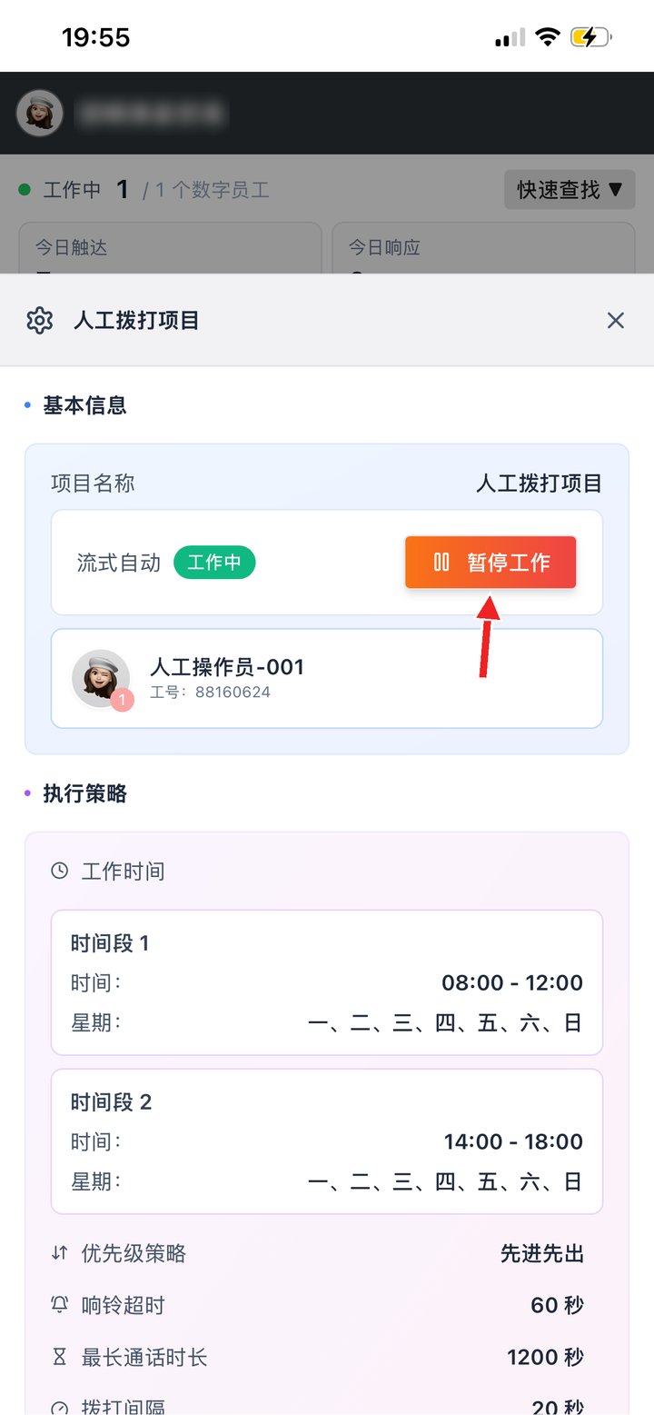 项目设置：暂停 / 恢复工作，查看执行策略