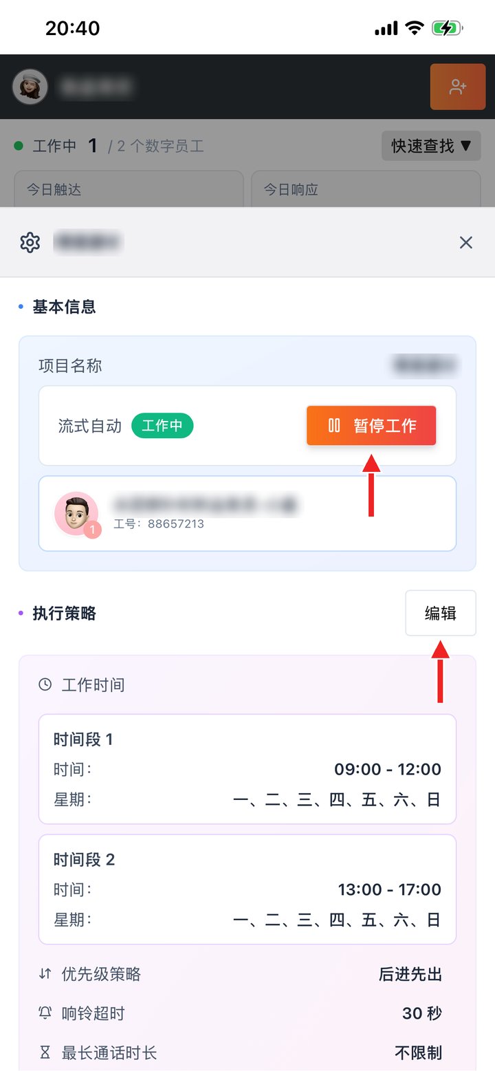 项目设置：暂停工作、编辑执行策略